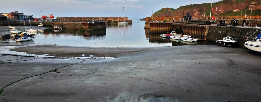 Sailtraining-scotland-stonehaven-2