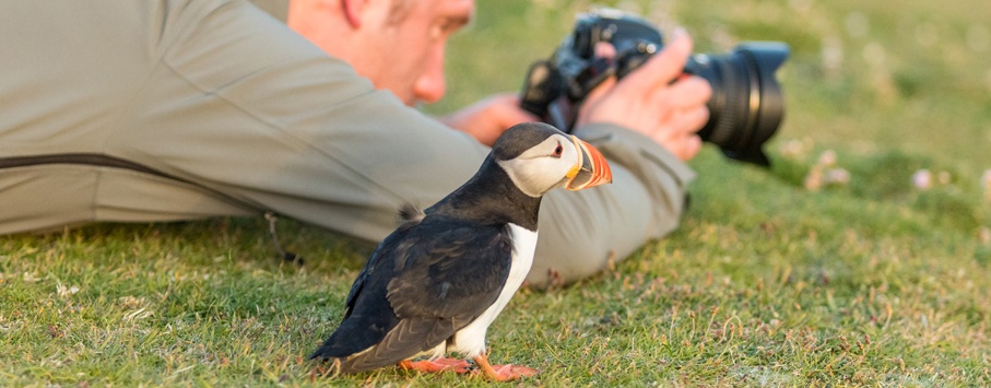 Papageientaucher-@-Fair-Isle_Ramon-Lucas-Fotografie-1